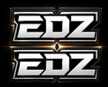 EDZ FORK TUBE STICKER